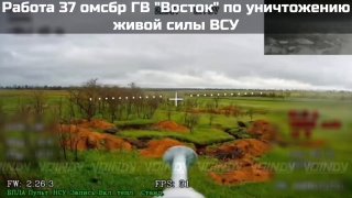 Ликвидация живой силы на Запорожском направлении дроноводами группировки «Восток»