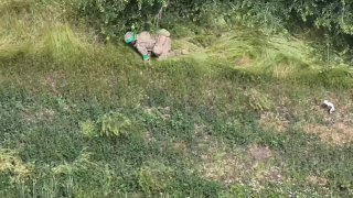 Иллюстрация 1