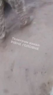 В Ровенской области жители села подрались с военкомами во время мобилизации