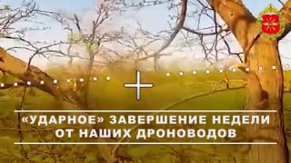 Сводка ударов БПЛА и десанта по позициям ВСУ на различных направлениях фронта