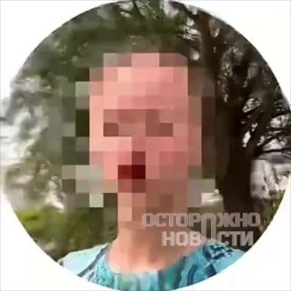 Блогер из Москвы отказалась искать сбежавшую в лес кошку, сославшись на «доверие Вселенной»