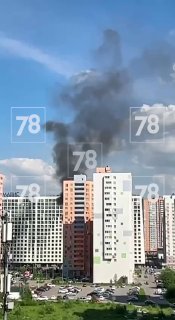 В Мурино из горящего дома спасли двух человек