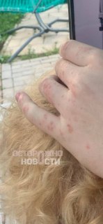 Иллюстрация 3