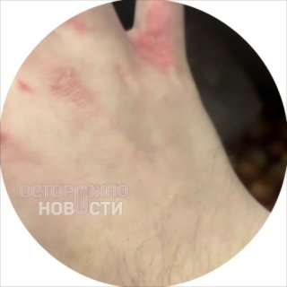 Иллюстрация 4