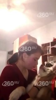Иллюстрация 1