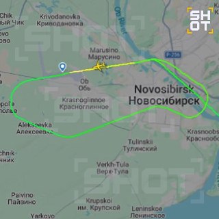 Собака на взлётно-посадочной полосе в Новосибирске привела к задержке двух самолётов