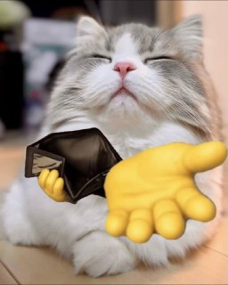 Иллюстрация 2