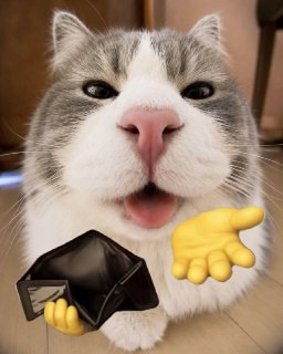 Иллюстрация 3