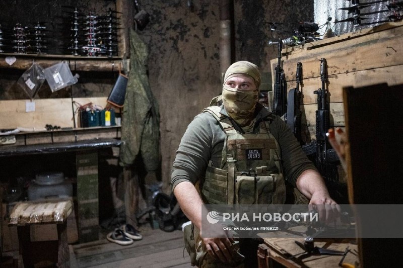 Иллюстрация 7