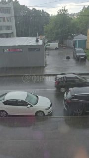 Иллюстрация 1