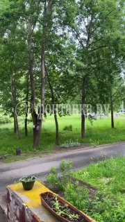 Иллюстрация 3