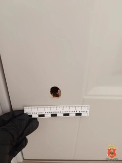Иллюстрация 4