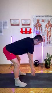 Топ 3 упражнения для шеи, плеч и спины