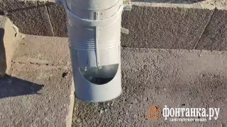 Иллюстрация 1