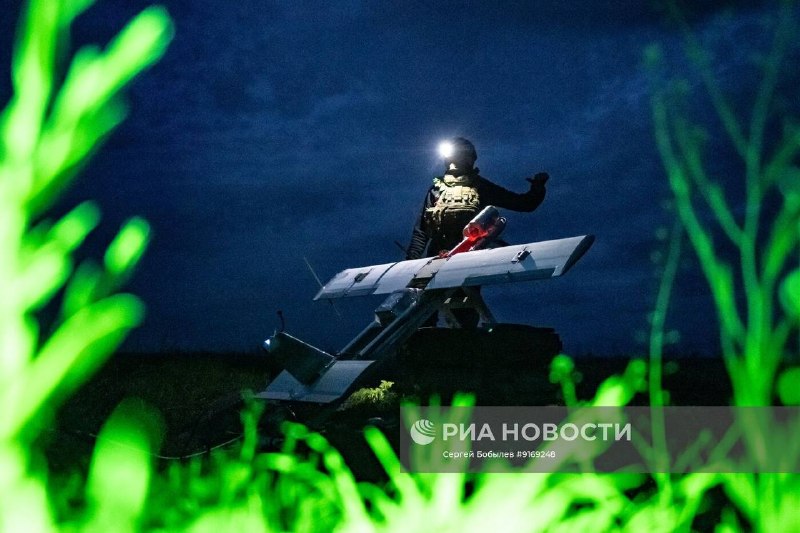 Иллюстрация 5
