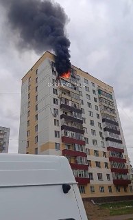 Иллюстрация 8