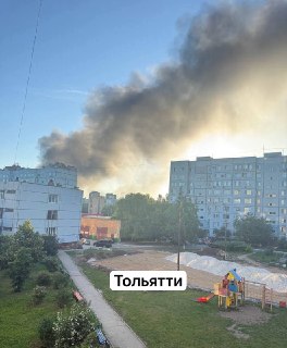 Иллюстрация 4