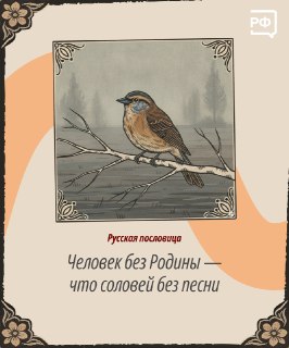 Значение слова «Родина» на разных языках в рамках Года единства народов