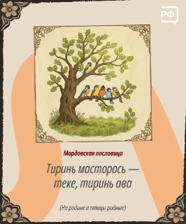 Иллюстрация 8