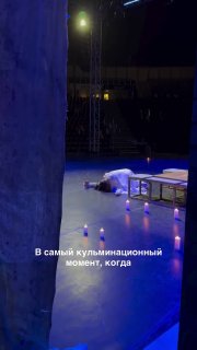 Рыжий кот сорвал финал балета «Ромео и Джульетта» в Турции