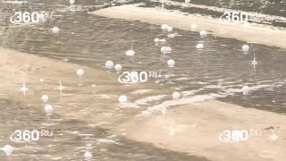 Жара в столичном регионе сменилась грозой и ливнями