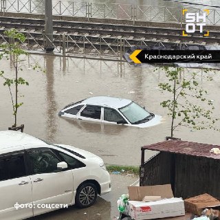 Иллюстрация 4