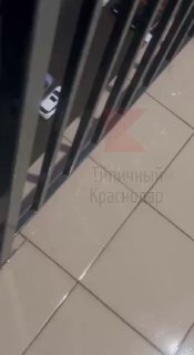 Иллюстрация 9