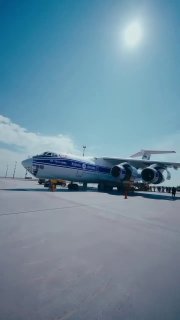Лаос подарил России двух слонят для казанского зооботанического сада
