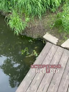 Иллюстрация 1