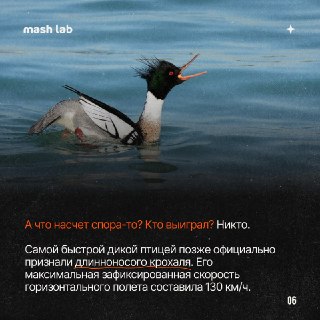 Иллюстрация 3