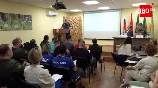 Нейросеть в Подмосковье сократила число ложных сигналов о лесных пожарах на 90%