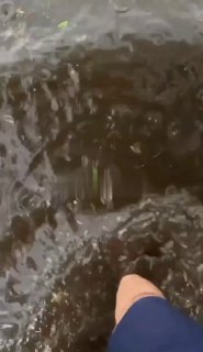 «Это апокалипсис»: Мощный ливень обрушился на Москву