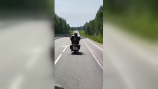 Губернатор Вологодской области Георгий Филимонов снял видео езды на мотоцикле без рук