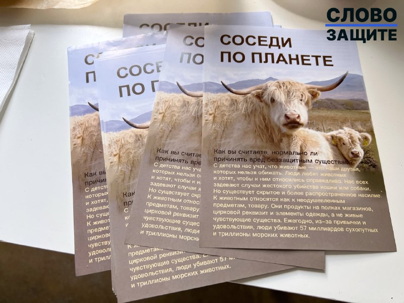 Иллюстрация 4