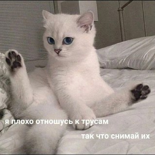 Нумерологи назвали даты рождения лучших любовников
