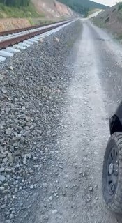 В Приморье у железной дороги заметили тигра