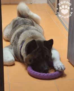 Советы по проведению выходного дня