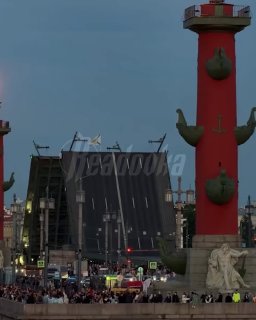 Иллюстрация 1