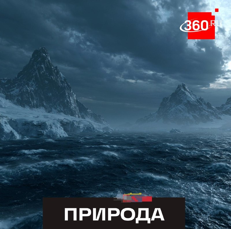 В Антарктиде зафиксировано рекордное отсутствие ледяного покрова в море Беллинсгаузена