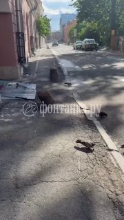Белое, маленькое, кружится за окном. Что это? Правильно. ПУХ.