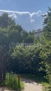 Иллюстрация 1