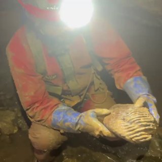 Зуб мамонта нашли в пещере на Урале