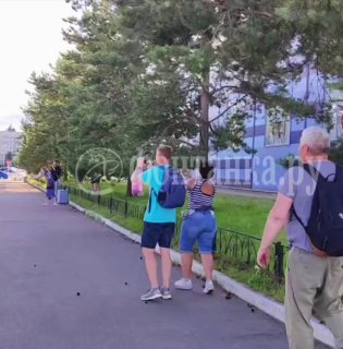 Лось замечен в северной части Петербурга