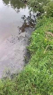Иллюстрация 1