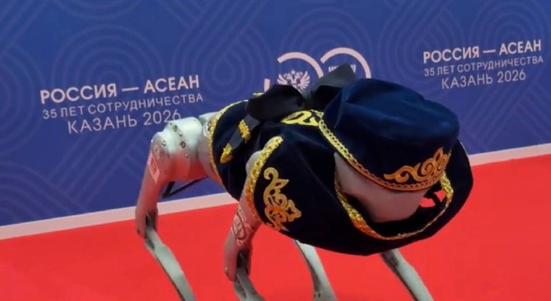 Робота-собаку в татарском костюме представят на саммите Россия-АСЕАН