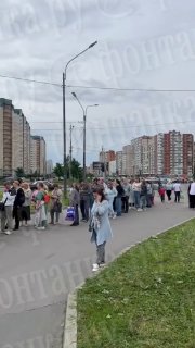 В Петербурге открылись выставки, приуроченные к выборам в Госдуму и ЗакС