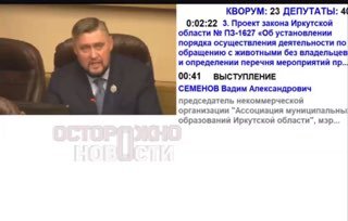 В Иркутске разрешили умерщвлять бездомных собак в чрезвычайных ситуациях