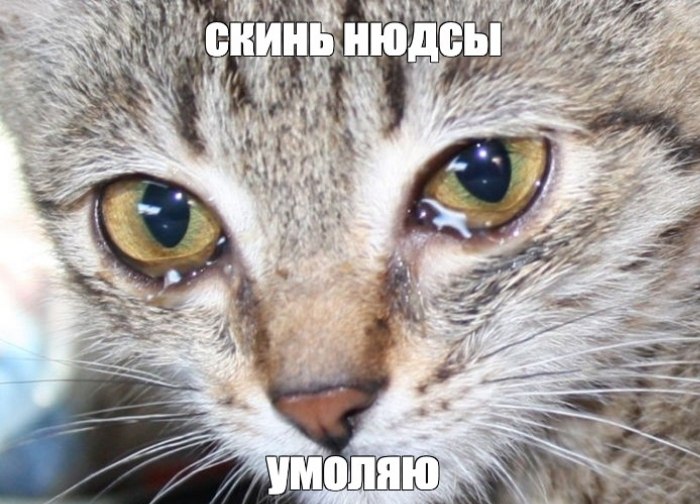 День бесплатных нюдсов отмечается сегодня