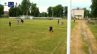 Футбол в Брянской области прервала корова