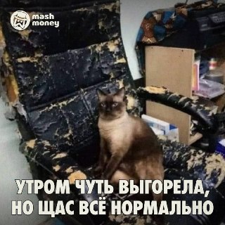 33% компаний объяснили увольнения токсичностью сотрудников